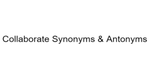Collaborate Synonyms & Antonyms