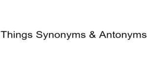 Things Synonyms & Antonyms