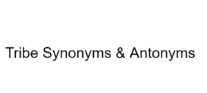 Tribe Synonyms & Antonyms