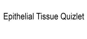 Epithelial Tissue Quizlet